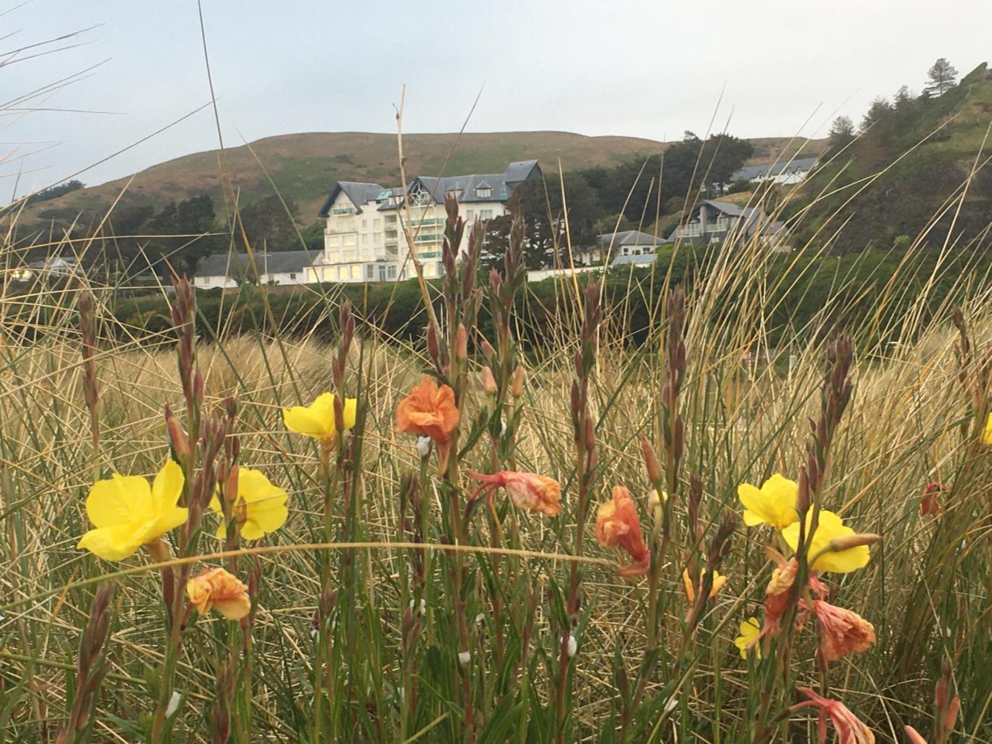 Lovely Seafront 2 Bedroom Apartment 4 Aberdyfi Exterior foto